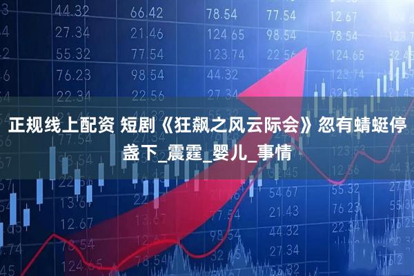 正规线上配资 短剧《狂飙之风云际会》忽有蜻蜓停盏下_震霆_婴儿_事情